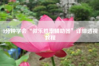 3分钟学会“微乐胜率辅助器	”详细透视教程