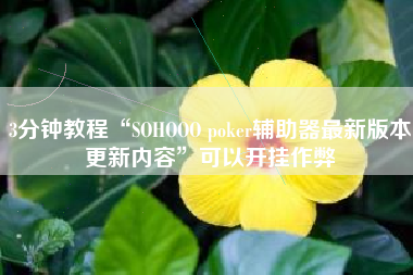 3分钟教程“SOHOOO poker辅助器最新版本更新内容	”可以开挂作弊