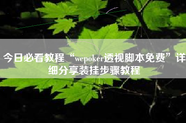 今日必看教程“wepoker透视脚本免费	”详细分享装挂步骤教程