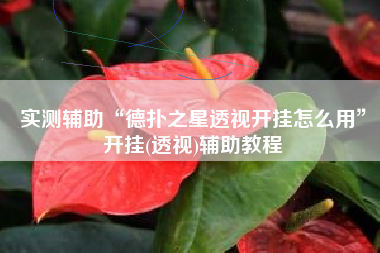 实测辅助“德扑之星透视开挂怎么用	”开挂(透视)辅助教程