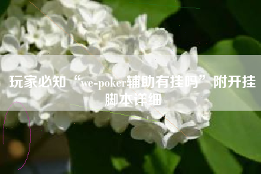 玩家必知“we-poker辅助有挂吗”附开挂脚本详细