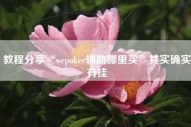 教程分享“wepoker辅助哪里买”其实确实有挂