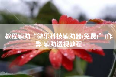 教程辅助“微乐科技辅助器(免费)”(作弊)辅助透视教程