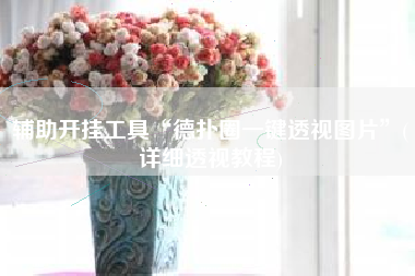 辅助开挂工具“德扑圈一键透视图片	”(详细透视教程)