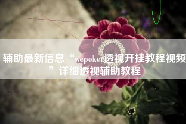 辅助最新信息“wepoker透视开挂教程视频”详细透视辅助教程
