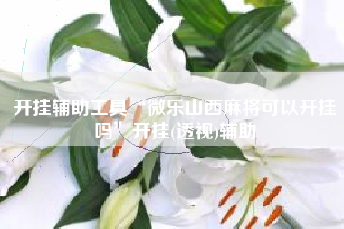 开挂辅助工具“微乐山西麻将可以开挂吗”开挂(透视)辅助