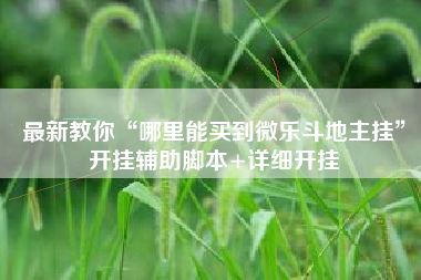 最新教你“哪里能买到微乐斗地主挂”开挂辅助脚本+详细开挂