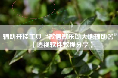 辅助开挂工具“微信微乐锄大地辅助器	”【透视软件教程分享】