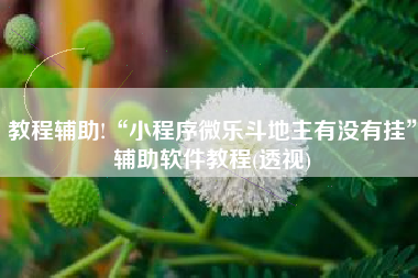 教程辅助!“小程序微乐斗地主有没有挂	”辅助软件教程(透视)