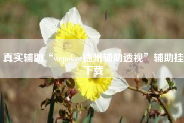 真实辅助“wepoker德州辅助透视”辅助挂下载
