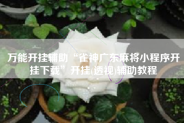 万能开挂辅助“雀神广东麻将小程序开挂下载	”开挂(透视)辅助教程