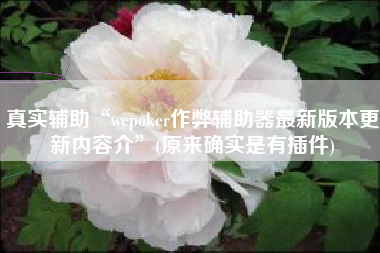 真实辅助“wepoker作弊辅助器最新版本更新内容介	”(原来确实是有插件)