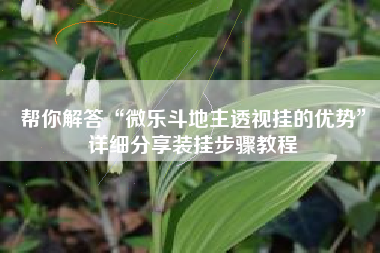 帮你解答“微乐斗地主透视挂的优势	”详细分享装挂步骤教程