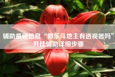 辅助最新信息“微乐斗地主有透视器吗”开挂辅助详细步骤