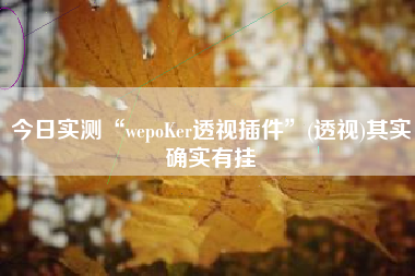 今日实测“wepoKer透视插件”(透视)其实确实有挂