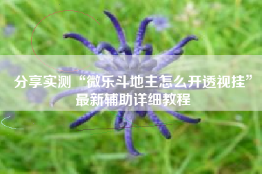 分享实测“微乐斗地主怎么开透视挂	”最新辅助详细教程