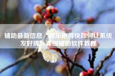 辅助最新信息“微乐跑得快如何让系统发好牌”详细辅助软件教程