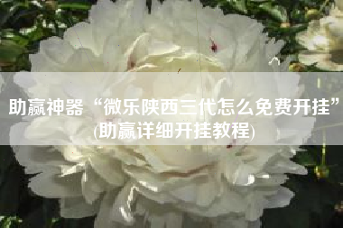 助赢神器“微乐陕西三代怎么免费开挂”(助赢详细开挂教程)