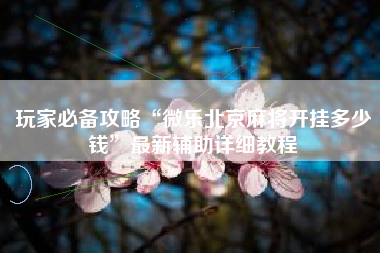 玩家必备攻略“微乐北京麻将开挂多少钱	”最新辅助详细教程