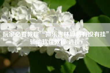 玩家必看教程“微乐吉林麻将有没有挂	”辅助软件教程(透视)
