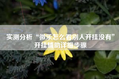 实测分析“微乐怎么看别人开挂没有”开挂辅助详细步骤