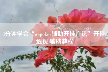 3分钟学会“wepoker辅助开挂方法	”开挂(透视)辅助教程