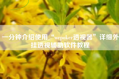 一分钟介绍使用“wepoker透视器”详细外挂透视辅助软件教程