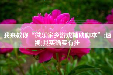 我来教你“微乐家乡游戏辅助脚本”(透视)其实确实有挂