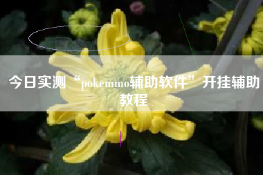 今日实测“pokemmo辅助软件”开挂辅助教程