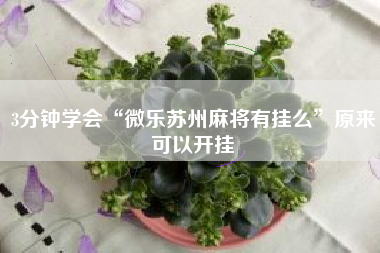3分钟学会“微乐苏州麻将有挂么”原来可以开挂
