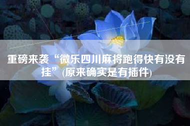 重磅来袭“微乐四川麻将跑得快有没有挂	”(原来确实是有插件)