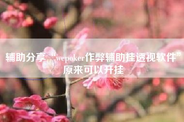 辅助分享“wepoker作弊辅助挂透视软件”原来可以开挂