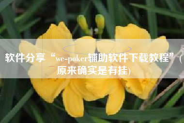 软件分享“we-poker辅助软件下载教程	”(原来确实是有挂)