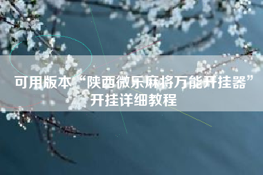 可用版本“陕西微乐麻将万能开挂器”开挂详细教程