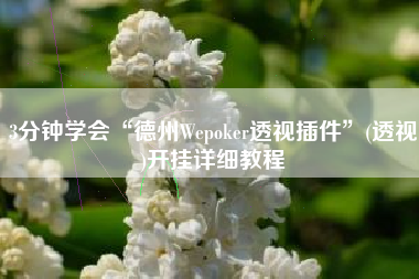 3分钟学会“德州Wepoker透视插件”(透视)开挂详细教程