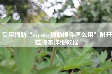 专用辅助“wepoker辅助插件怎么用”附开挂脚本详细教程