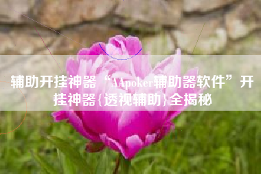 辅助开挂神器“AApoker辅助器软件”开挂神器{透视辅助}全揭秘