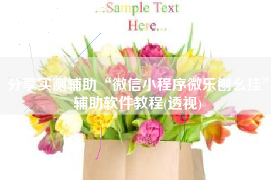 分享实测辅助“微信小程序微乐刨幺挂”辅助软件教程(透视)