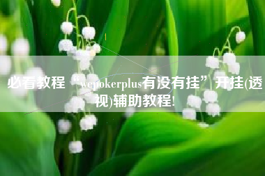 必看教程“wepokerplus有没有挂”开挂(透视)辅助教程!