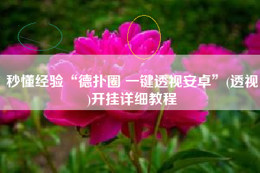 秒懂经验“德扑圈 一键透视安卓	”(透视)开挂详细教程