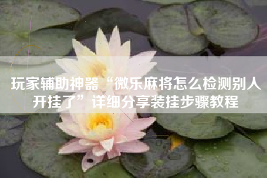 玩家辅助神器“微乐麻将怎么检测别人开挂了”详细分享装挂步骤教程