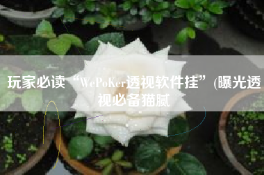玩家必读“WePoKer透视软件挂	”(曝光透视必备猫腻