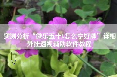 实测分析“微乐五十k怎么拿好牌	”详细外挂透视辅助软件教程