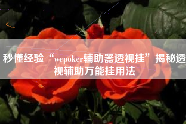 秒懂经验“wepoker辅助器透视挂”揭秘透视辅助万能挂用法