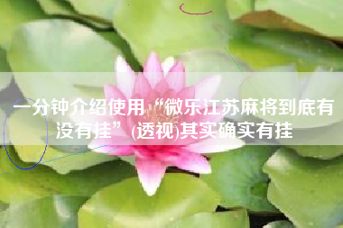 一分钟介绍使用“微乐江苏麻将到底有没有挂”(透视)其实确实有挂