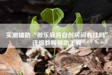 实测辅助“微乐麻将自创房间有挂吗	”详细教程辅助工具