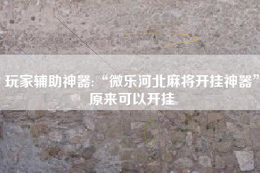 玩家辅助神器:“微乐河北麻将开挂神器	”原来可以开挂