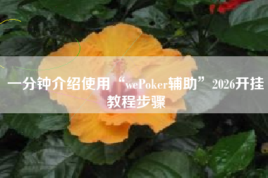 一分钟介绍使用“wePoker辅助”2026开挂教程步骤