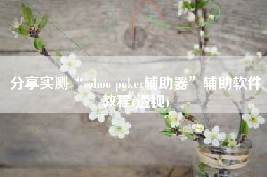 分享实测“sohoo poker辅助器	”辅助软件教程(透视)