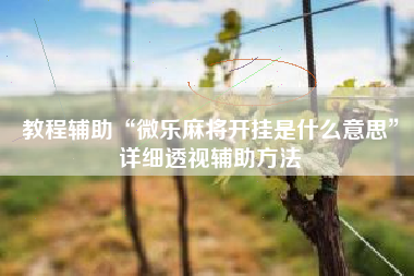 教程辅助“微乐麻将开挂是什么意思”详细透视辅助方法